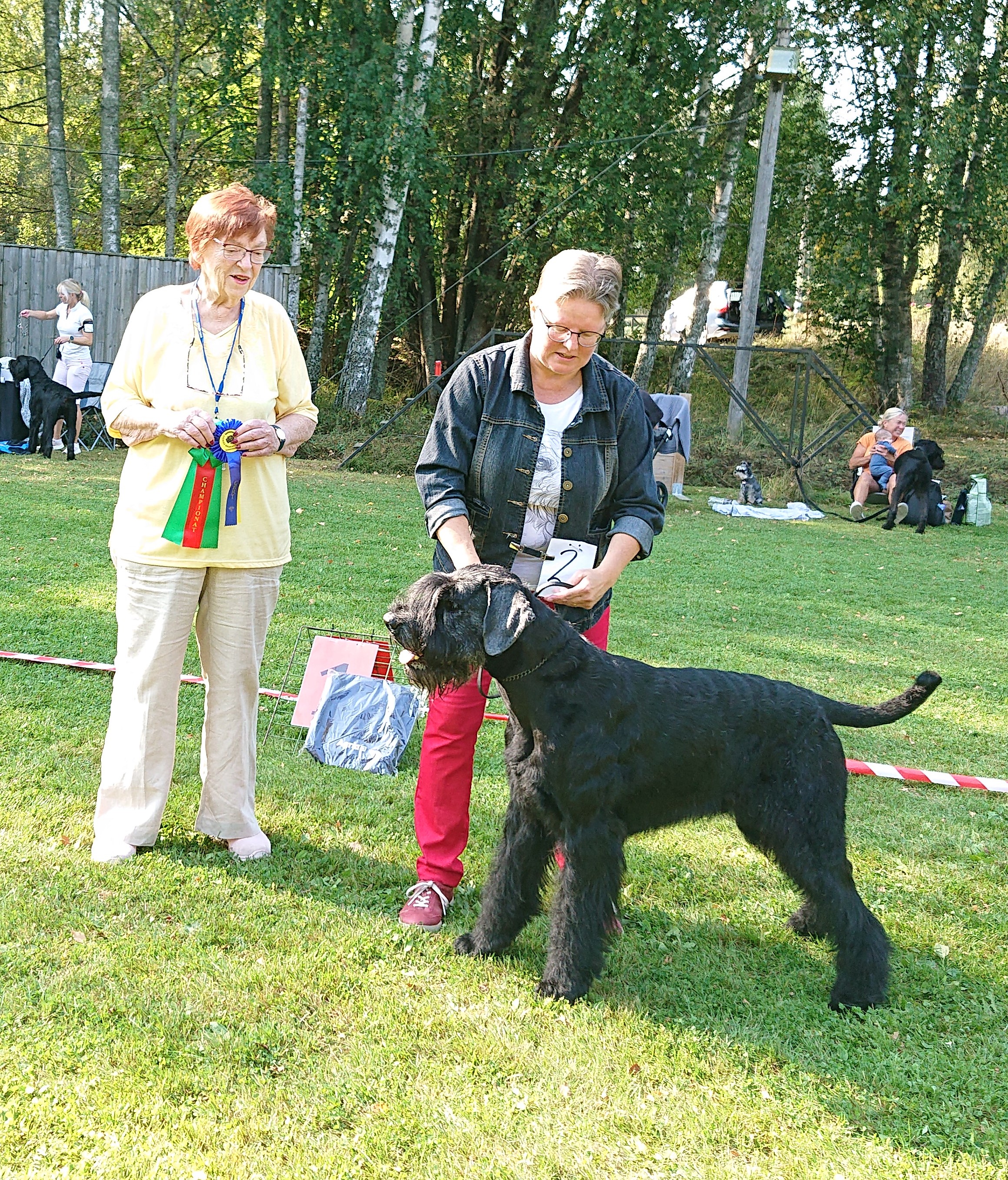 Bästa hane 2024